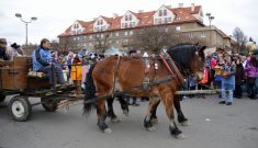 Masopust Stochov 2016